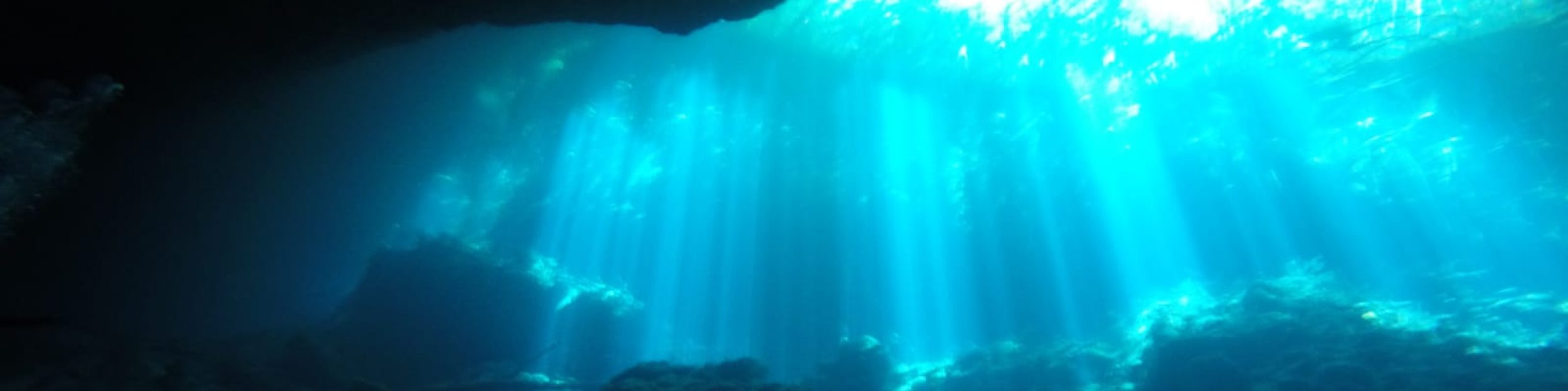 Kilmarnock Sub Aqua Club
